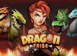dragon tribe nolimit city slot machine